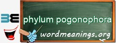 WordMeaning blackboard for phylum pogonophora